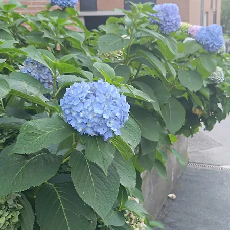 Da Gianfi Lugano-pregassona - Stanza Privata (adults Only) * Lugano