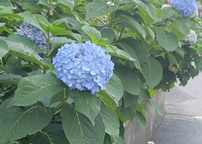 Da Gianfi Lugano-pregassona - Stanza Privata (adults Only) * Lugano